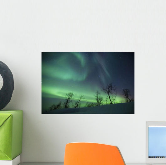 Northern Lights Arctic Wilderness Wall Decal Design 2