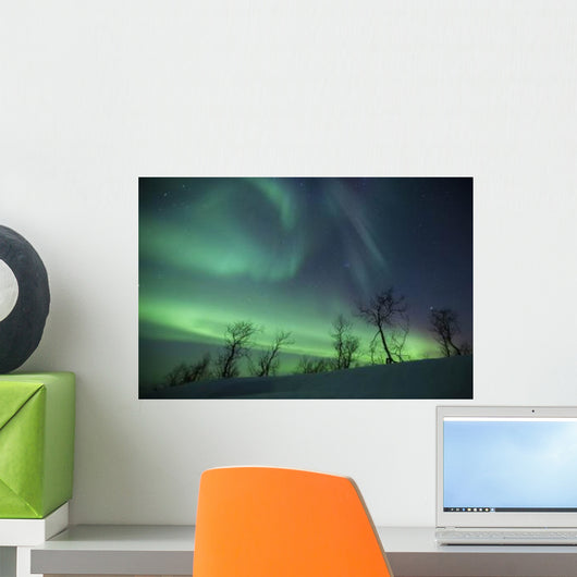 Northern Lights Arctic Wilderness Wall Decal Design 2