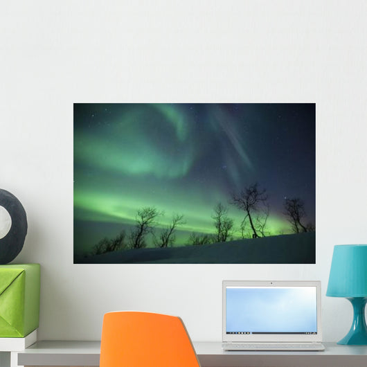 Northern Lights Arctic Wilderness Wall Decal Design 2