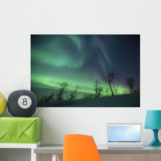 Northern Lights Arctic Wilderness Wall Decal Design 2