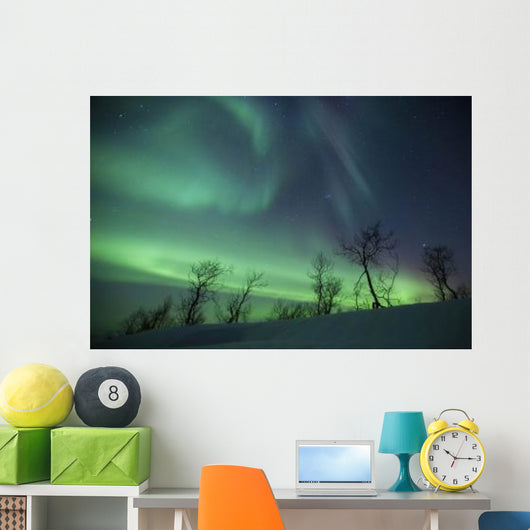 Northern Lights Arctic Wilderness Wall Decal Design 2
