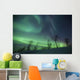 Northern Lights Arctic Wilderness Wall Decal Design 2