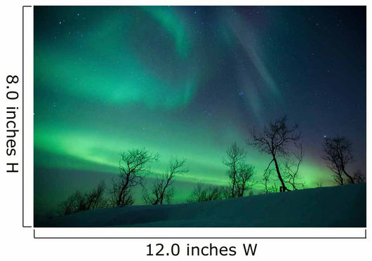 Northern Lights Arctic Wilderness Wall Decal Design 2