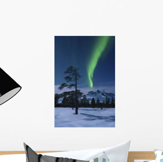Moonlight and Aurora over Wall Decal