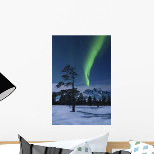 Moonlight and Aurora over Wall Decal