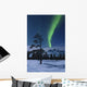 Moonlight and Aurora over Wall Decal