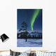 Moonlight and Aurora over Wall Decal