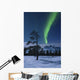 Moonlight and Aurora over Wall Decal