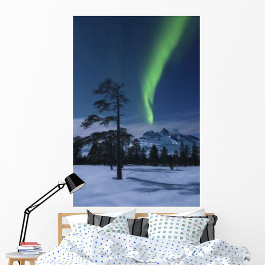 Moonlight and Aurora over Wall Decal
