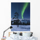 Moonlight and Aurora over Wall Decal