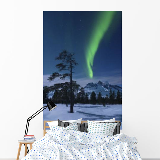 Moonlight and Aurora over Wall Decal