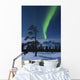 Moonlight and Aurora over Wall Decal