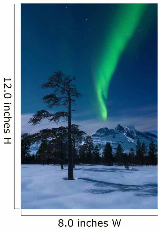 Moonlight and Aurora over Wall Decal