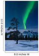 Moonlight and Aurora over Wall Decal