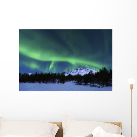 Aurora Borealis over Nova Wall Decal