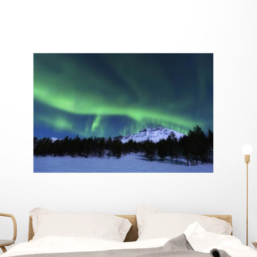 Aurora Borealis over Nova Wall Decal