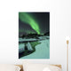 Aurora Borealis over Frozen Wall Decal Design 1