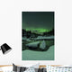 Aurora Borealis Tennevik River Wall Decal
