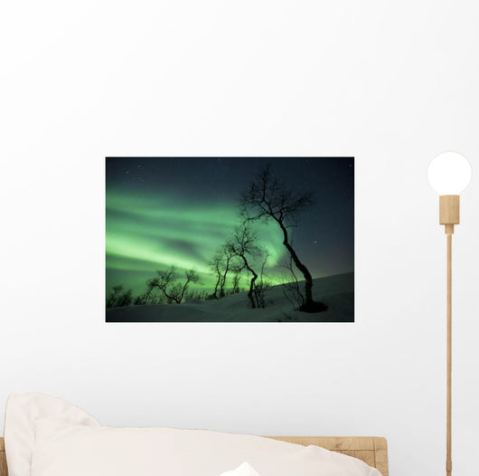 Northern Lights Arctic Wilderness Wall Decal Design 1