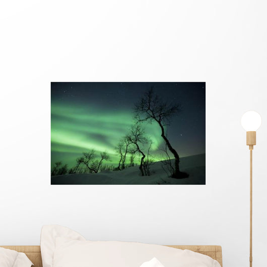 Northern Lights Arctic Wilderness Wall Decal Design 1