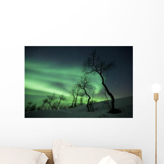 Northern Lights Arctic Wilderness Wall Decal Design 1