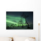 Northern Lights Arctic Wilderness Wall Decal Design 1