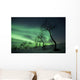Northern Lights Arctic Wilderness Wall Decal Design 1