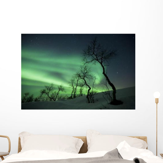 Northern Lights Arctic Wilderness Wall Decal Design 1