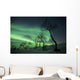 Northern Lights Arctic Wilderness Wall Decal Design 1