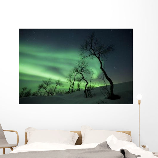 Northern Lights Arctic Wilderness Wall Decal Design 1