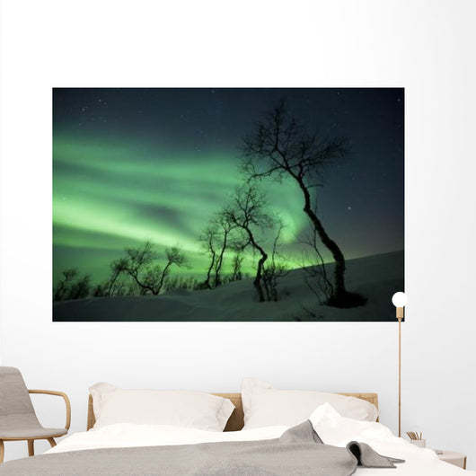 Northern Lights Arctic Wilderness Wall Decal Design 1