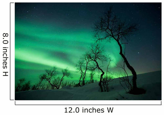 Northern Lights Arctic Wilderness Wall Decal Design 1