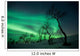 Northern Lights Arctic Wilderness Wall Decal Design 1