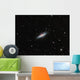 Galaxy M82 Ursa Major Wall Decal