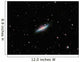 Galaxy M82 Ursa Major Wall Decal