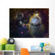Ngc 896 Part Heart Wall Decal