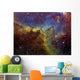Part Ic1805 Heart Nebula Wall Decal