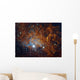 Flaming Star Nebula Auriga Wall Decal