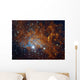 Flaming Star Nebula Auriga Wall Decal