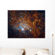 Flaming Star Nebula Auriga Wall Decal