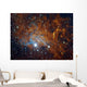 Flaming Star Nebula Auriga Wall Decal