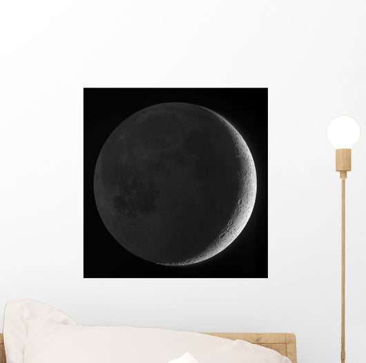 Moon with Earthshine Wall Decal