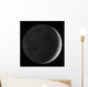Moon with Earthshine Wall Decal
