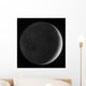 Moon with Earthshine Wall Decal
