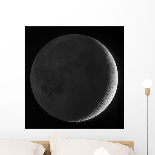 Moon with Earthshine Wall Decal