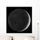 Moon with Earthshine Wall Decal