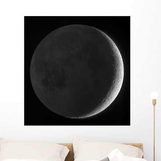 Moon with Earthshine Wall Decal