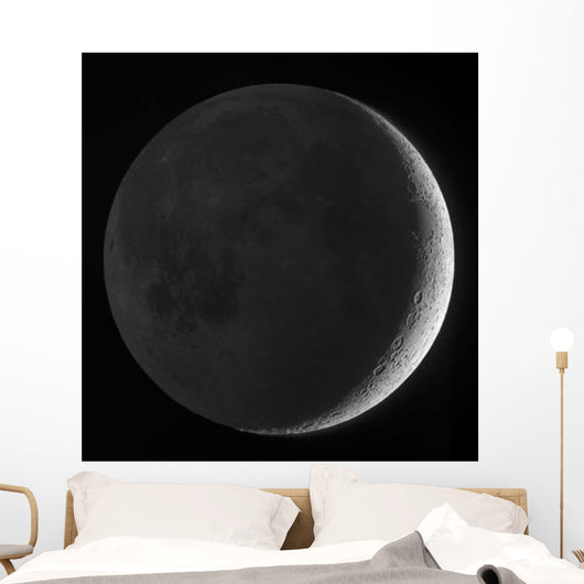 Moon with Earthshine Wall Decal