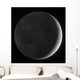Moon with Earthshine Wall Decal