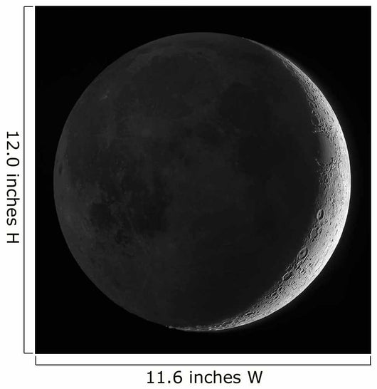 Moon with Earthshine Wall Decal